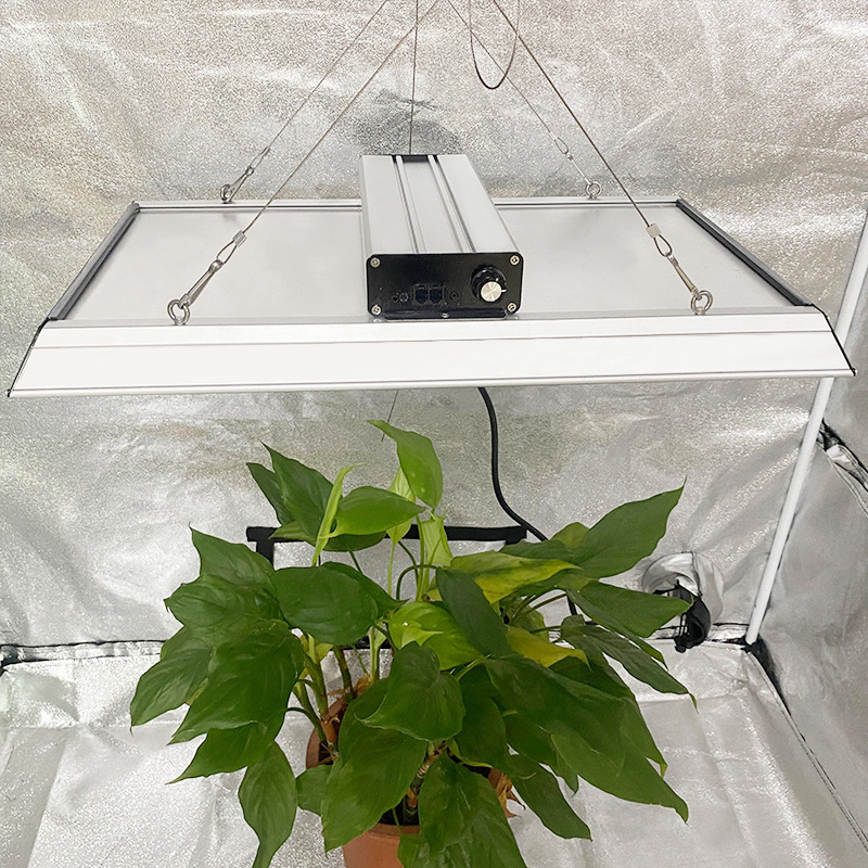 Landwirtschaftliches Vollspektrum-LED-Wachstumslicht für Tomaten