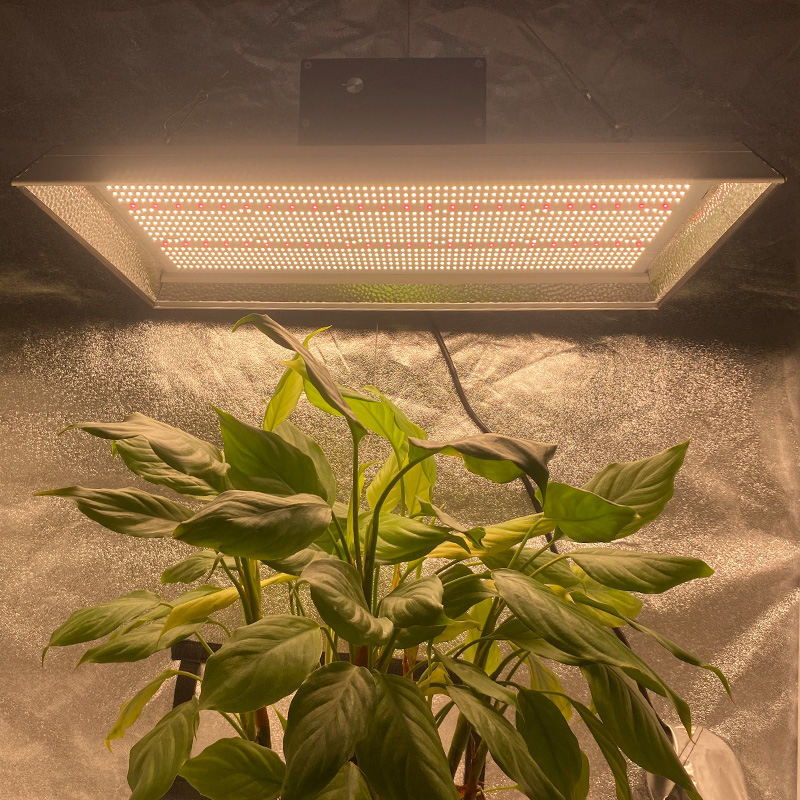 Volles Spektrum 400 Watt LED wachsen Licht für Topfpflanzen