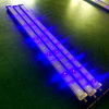 Wasserdichtes 100-W-Linear-LED-Wachstumslicht für tropische Pflanzen