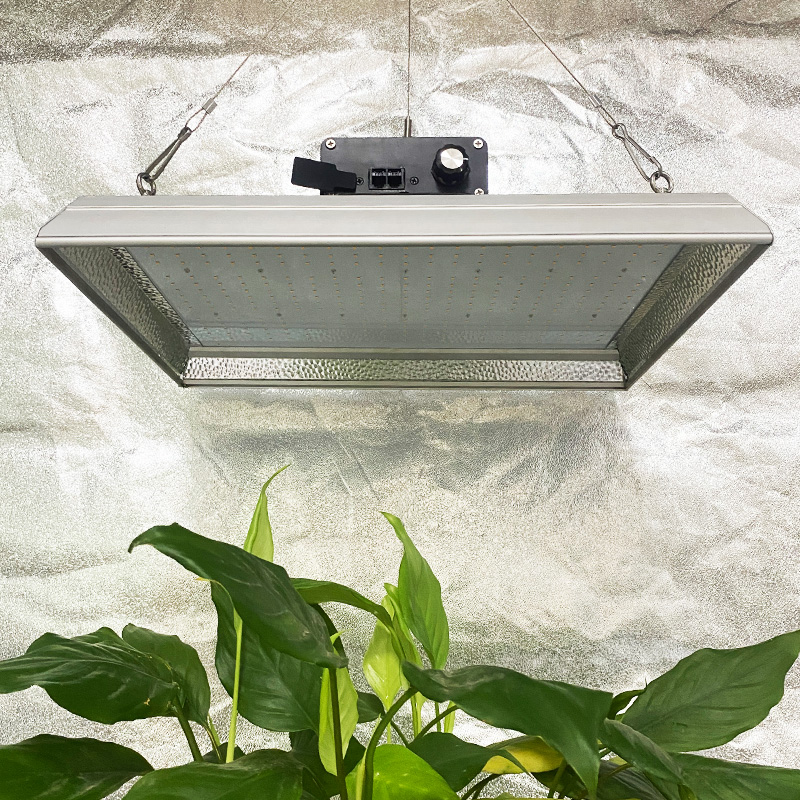 Professionelles 100w LED-Wachstumslicht für Topfpflanzen
