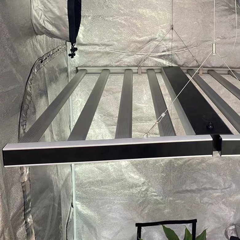 Gewächshaus 1000W LED wachsen Licht für Tomaten