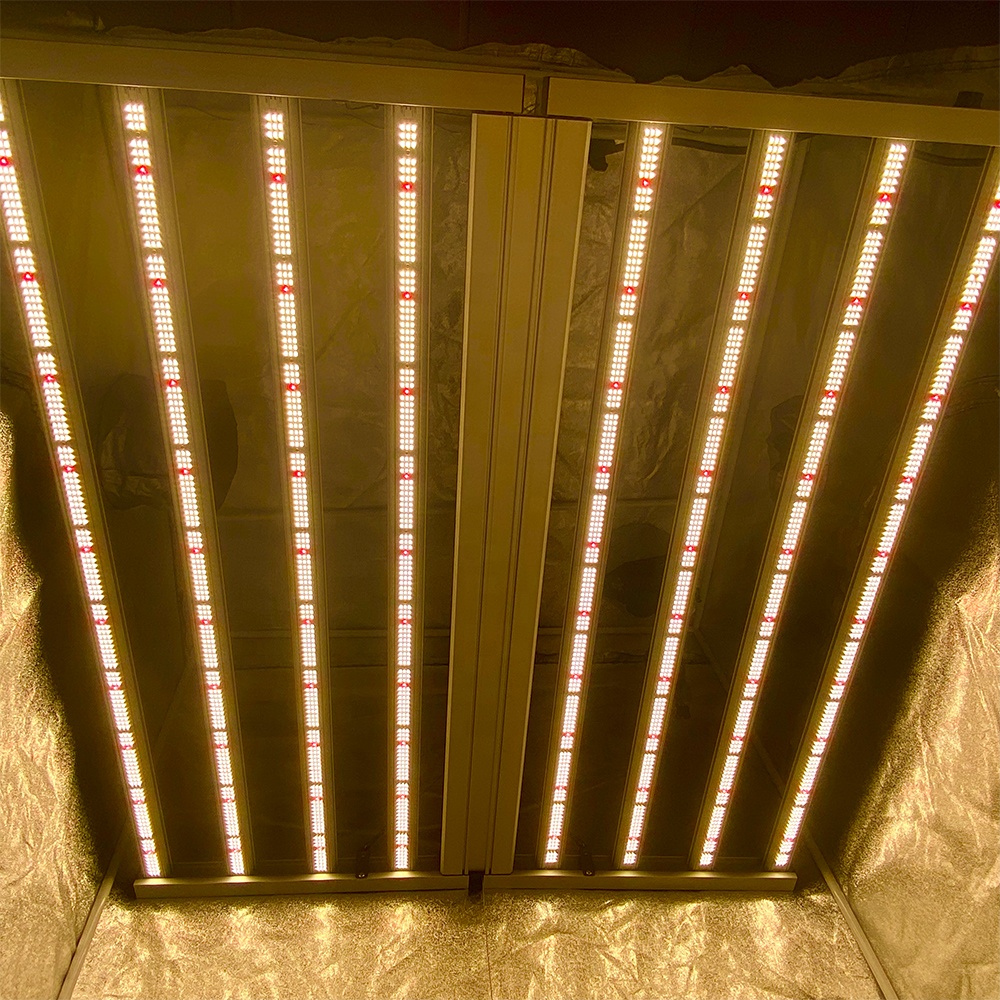 1000W PflanzengaVita Spinne LED Wachsen Light Indoor
