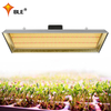 Indoor 300w LED Grow Light für Tomaten
