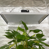 Gartenbauliches 200w LED-Wachstumslicht für tropische Pflanzen