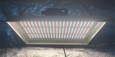 Forschung an linearen LED wächst Licht