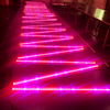 Lineares LED-Wachstumslicht mit geringer Leistung von 40 Watt für Orchideen