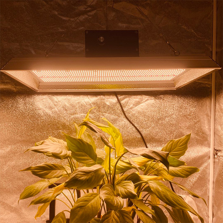 Volles Spektrum 400 Watt LED wachsen Licht für Topfpflanzen